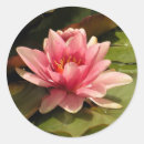 Search for ecology stickers Botanical