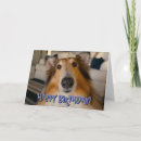 Search for cute sheltie cards Funny