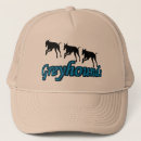 Search for dog run hats Animal
