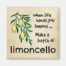 Search for sorrento magnets Limoncello