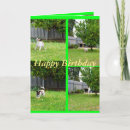 Search for terrier photo cards Collage