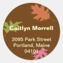Search for multi coloured stickers Winter