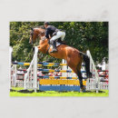 Search for show jumping postcards Horses