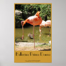 Search for ballerina posters Photography