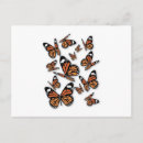 Search for antenna postcards Butterfly