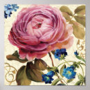 Search for rose bloom posters Flowers