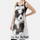 Search for maltese aprons Puppy