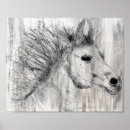 Search for white horses posters I love horses