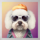 Search for bichon frise art Cute