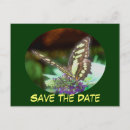 Search for bug save the dates Nature