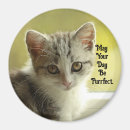 Search for unique cats magnets Kitten