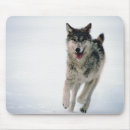 Search for wolf look mousepads Horizontal