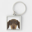 Search for wiener dog key rings Animal