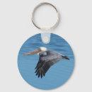 Search for beaks key rings Sky