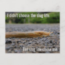 Search for slug postcards Funny