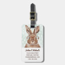 Search for eis Rabbit