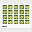 Search for spring daffodil stickers Nature
