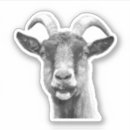Search for funny goat stickers Illustration