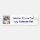 Search for maine bumper stickers Cat