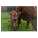 Search for cow chopping boards Ranch