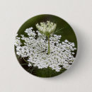 Search for textured background badges Summer