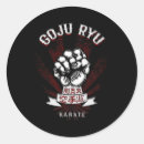Search for ryu stickers Martial arts