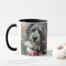 Search for shaggy mugs Animal