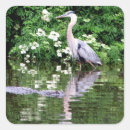 Search for great heron stickers Nature