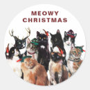 Search for cat meow stickers Meowy christmas