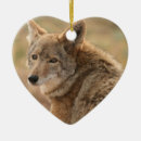 Search for coyote christmas tree decorations Wildlife
