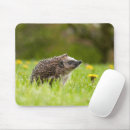 Search for hedgehog mousepads Mammal