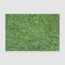 Search for green grass tissue paper Lawn