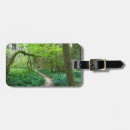 Search for old growth forest accessories Landscape