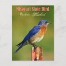 Search for missouri postcards State