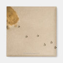 Search for torso magnets Animal
