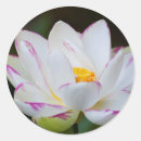 Search for savannah georgia stickers Joanne wells