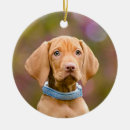 Search for vizsla christmas tree decorations Puppy