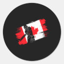 Search for umpire stickers T20