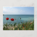 Search for cost postcards Red