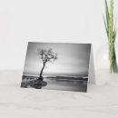 Search for bare tree cards Outdoors