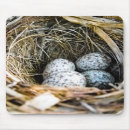 Search for nest mousepads Eggs