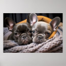 Search for french bulldog art Animal
