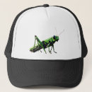 Search for grasshopper hats Insect