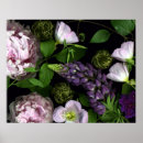 Search for balck posters Flower