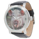 Search for pig watches Sow