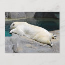 Search for sunbathing postcards Nature