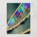 Search for iridescence postcards Iridescent