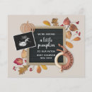 Search for fall pregnancy announcement cards Expecting
