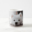 Search for cute samoyed mugs White