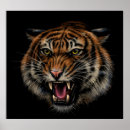 Search for angry tiger posters Cat
